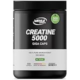 Creatin Kapseln hochdosiert, Workout Booster, 5000 mg Creatin Monohydrat pro Tagesdosis 300 vegane Kreatin Kapseln, 100% rein mit Mesh Faktor 200 - Halal & Vegan (300 Kapseln)