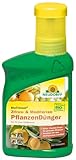 Neudorff BioTrissol Zitrus- & Mediterran PflanzenDünger – Organischer Bio-Dünger mit Extra Eisen sorgt für gesunde und aromatische Früchte, 250 ml