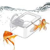 Futterspender für Aquarien, fester Futterspender aus Acryl, breiter Futterbereich, Werkzeug für schwimmendes oder flockiges Futter, automatisches Aquarium, Servierzubehör, Aquarien, Position bestimmen