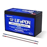 ECO-WORTHY LiFePO4-Batterie, 12 V, 8 Ah, 3000+ Zyklen, Lithium-Tiefzyklenbatterie mit 8 A BMS, für Solar-, Fischfinder, Power-Räder, Beleuchtung, Alarmanlage