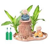 Brasilholz | Brasilianischer Baum | Tischdekoration Mit Figur Für Gastronomie Küche Wartebereich Wohnzimmer Outdoor Terrasse