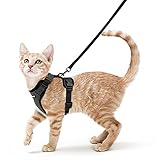 rabbitgoo Katzengeschirr mit Leine Schwarz Softgeschirr für Katze Brustgeschirr Cat Harness Katzengarnitur ausbruchsicher verstellbar Katzenweste Schwarz XS