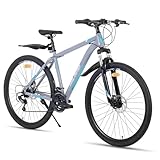 Hiland 29 Zoll Mountainbike Rad Mountain Bike Shimano 21 Gang Fahrrad mit Rahmentasche Schutzblech Federgabel Scheibenbremsen MTB für Herren Damen Jungen Mädchen Grau