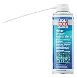 LIQUI MOLY Marine Motor Innenkonservierer | 300 ml | Bootspflege | Art.-Nr.: 25032, farblos