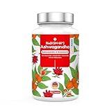 Bio Ashwagandha KSM-66 Komplex hochdosiert Kapseln 5 in 1 pro Tag 600mg Ashwagandha 600 mg Rosenwurz Vegen