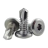 Fajoeda 40 Stück selbstschneidende schrauben flachkopf,6.3 X 16mm 410 Edelstahl Innensechskantschrauben Bohrschrauben(16mm bis 45mm verfügbar,Silber)