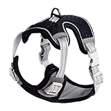 Langlebiges Geschenk Für Haustiere Explos Katzenleinen Zum Spazierengehen Für 3M Reflexstreifen Haustier Katzenleinen Leinengeschirre Einfache Kontrolle Atmungsaktiv Für Jacke Langlebiges Geschenk