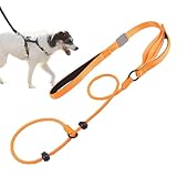 Hundeseil – Schlepp-Trainingsseil, strapazierfähig, 1,7 m, leicht zu kontrollieren, mit weich gepolstertem Griff für große, mittelgroße Hunde, Training, Jagd, Camping, Hinterhof, Park (Orange, Schwarz