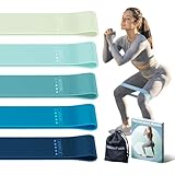 Fitnessbänder 5er Set Widerstandsbänder mit 5 Stufen Übungsbänder für Heim-Fitness, Stretching, Krafttraining, Physiotherapie, Pilates, Yoga, Elastische Workout-Bänder für Frauen (Blau)