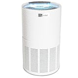 FeinTech Luftreiniger Raucherzimmer mit Aktivkohlefilter, Hepa 13 Filter bis 45 m² für Allergiker gegen Gerüche, Staub, Pollen, Tierhaare und Aerosole, FLR00100