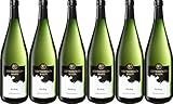 6x Riesling halbtrocken 2023 - Bottwartaler Winzer eG, Württemberg - Weißwein