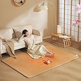 SEVOLY Graphen-Bodenheizkissen, elektrisch beheizter Flächenteppich, beweglicher japanischer Tatami-Heizteppich, tragbare beheizte Bodenmatte für Haustiere, für das Schlafzimmerbüro,50X100CM