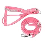ifundom 1Satz Haustier Brustgeschirr Set mit Leine und Halsband Verstellbar Atmungsaktiv Teilig für Kleine und Mittelgroße für Outdoor Aktivitäten und