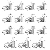 30 Stück Schlossschrauben M6×30 Edelstahl Flachkopfschrauben M6 mit Flanschmuttern Torbandschrauben für Industriemaschinen Heimdekoration