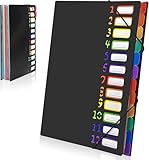 Gemtte Fächermappe A4, Mappen Ordnersystem mit 12 Fächern, 24 Taschen Dokumentenmappe Folder, Bunte Wasserdicht Ordnungsmappe für Schule Bürobedarf (Schwarz)