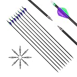 6 Stück 29-Zoll 300-Spine Pfeil Abnehmbare Pfeilspitzen Übungspfeil Jagdpfeil Pfeilfedern aus Plastik Carbonpfeile Bogenpfeile für Langbogen Recurvebogen Compoundbogen Bogenschießen Violett Grün A13