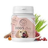Multivitamin Tabletten für Hunde – Hundetabletten mit Vitamin B Komplex, Zink & Mineralstoffen – Ergänzungsfuttermittel für Hunde – Annimally Dog´s Daily 85 Stück