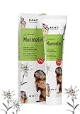 BANO Arlberger Murmelin Sport und Gelenksalbe I Original Murmeltiersalbe I MADE IN AUSTRIA I mit Murmeltieröl | Arnika | Latschenkieferöl (60ml)