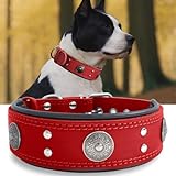 Hundehalsband Leder, 5 cm Breites Robustes Echtes Lederhalsband, Handgefertigt, Weich und Luxuriös, Auffällige Beste Wahl für Große und Mittelgroße Hunderassen, rot 49.5-60 cm