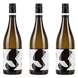 Glatzer Weissburgunder trocken Weisswein Österreich BIO inkl. FeinWert E-Book (3 x 0.75 l)