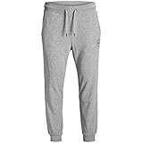 JACK & JONES Male Jogginghose Regular Fit Jogginghose
