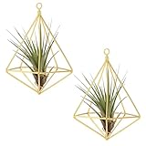 2 Stück Hängender Luftpflanzenhalter Freistehender Wandbehang Luftpflanzen-Regal Geometrische Pflanzenhänger Luftpflanzen Hängenden Kreativer Geometrischer Hängetopf für Künstliche Pflanzen und Mehr