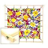 Seiden-Spannrahmen, 55cm, auf einer Ebene [Spielzeug]