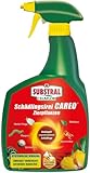 Substral Schädlingsfrei Careo Zierpflanzen, gegen Schädlinge wie Blattlaus, Schildlaus, Wolllaus, Raupen, 800 ml, Grün