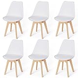 WAFTING 6er Set Esszimmerstühle Gepolsterter Stuhl mit Buchenholz-Beinen und Weich Gepolsterte Chair für Esszimmer Wohnzimmer Schlafzimmer Küche Besprechungsraum, (Gepolstert weiß)