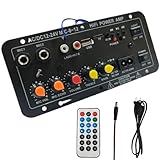 Car Audio Amplifier Board Car Amplifier Board - Digital Stereo Audio Amplifier Modul 12V und 24V Digital Stereo Audio Amplifier,Wireless Lautsprecherplatine für Ladenhäuser