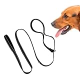 Hundeleine – 8 Anti-Pull-Trainingsleine für Hunde, verstellbar, 2,5 x 180 cm, Nylon, lange Leine, kein Ziehen, rutschfestes Seil, reflektierende und langlebige Hundeleine für kleine, mittelgroße und