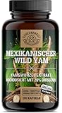 Yamswurzel 1000mg -WICHTIG: 10:1 Extrakt (=10000mg mex. Wild Yams je Tagesdosis) +20% Diosgenin +Progesteron -Yamswurzel Kapseln Hochdosiert- Laborgeprüft -DE- SCHEUNENGUT®