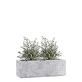 Pflanzwerk® Pflanzkübel TUB Lava Hellgrau 17x50x17cm XXL – Rechteckig – Großer Fiberglas Blumenkübel für Garten & Fensterbank außen und innen - Frostbeständig - UV-Schutz - Markenqualität