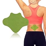 iShanCare Rücken Schmerzlinderungspflaster, 24 Stück Wärmepflaster Patch, 8 Stunden tiefe Linderung für Rücken, Knie, Nacken, Schulter