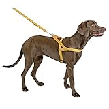 Kerbl Pet 81058 Norweger Geschirr reflektierend 20mmx60-75cm, 0.094 kg