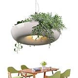 Hiemible Pflanzen-Kronleuchter - Pflanzen Pendelleuchte Für Esszimmer | Stimmungsbeleuchtung Minimalistische Lampe für Innen- und Außenbereich, Schlafzimmer, Küche, Wohnzimmer, Bauernhaus,