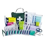 Lewis-Plast Premium Erste-Hilfe-Set mit 90 Teilen - Enthält Augenspülung, 2 x Kälte (Eis) Packungen und Notfalldecke für Zuhause, Büro, Auto, Wohnwagen, Arbeitsplatz, Reisen - Grün