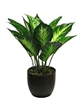 mucplants künstliche Aglaonema im Topf Kolbenfaden Caladium Monstera Calathea Dieffenbachia Kunstpflanze Grünpflanze (Dieffenbachia Sunshine grün ca. 25 cm)