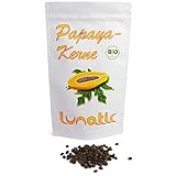 100g Bio Papaya-Kerne - Rohkostqualität