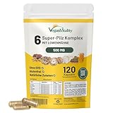 Pilz Komplex, 6 wichtige Pilz Complex als Pilz Kapseln, Lions Mane Kapseln, Reishi Pilz, Chaga extrakt, Shitake, Cordyceps und Maitake 120 Capsules