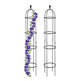 Relaxdays Rankhilfe Obelisk, 2er Set, 190 cm hoch, Ranksäule für Kletterpflanzen, freistehend, Metall Rosenturm, schwarz