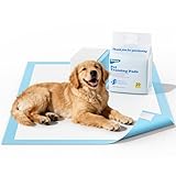 PIPI Matten für Hunde - Welpen Unterlagen 60x60cm Trainingspads für Hunde 20 Stück, Inkontinenzunterlage Einweg Wickelunterlage 5-Lagiges Design mit Schnell Trocknender Oberfläche