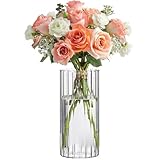 ComSaf Kleine Vasen Deko für Tischdeko, Modern Blumenvase Glas, Mini Vase Tulpen Set, Glasvase Zylinder Rund Gross, Tulpenvase für Tulpen, Pampasgras, Orchideen, Rosen, 20 cm Hoch, Transparent