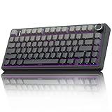 AULA F75 PRO Mechanische Tastatur Gaming,2.4GHz/Type-C/BT5.0 Mechanical Keyboard,Seitlich Graviert,Fünfschichtige Polsterung Struktur,QWERTY,Hot-Swap Kabellos Gaming Tastatur 75 Prozent (Grau)