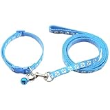 COYUN Welpenhalsbänder mit Leine Set, Hundehalsband und Leine Verstellbares Hundehalsband Weich Nylon Haustier Halsband für Welpen Kleine Mittlere Hunde(Blau)