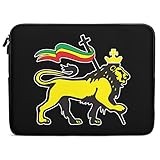 CongVVFV 9-TLG. Garten-Sofagarnitur mit Kissen Beige Poly Rattan PE Geflecht Stauraum wasserfester Beutel abnehmbare Bezüge modulares Design Akazienholz Tischplatte für Terrasse