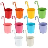 KINGLAKE Blumentöpfe zum Aufhängen Hängend aus Metall, Bunt Hänge 10Stück Garten Töpfe für Balkon, Zaun, Garten, Wand, Robuster Hängetopf mit Abnehmbarem Haken，10 x 10 x 8 cm