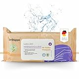 DrDeppe Lotio 2in1-20 Stk. Desinfektionstücher für Hände & Flächen mit Aloe Vera 100% biologisch abbaubar, aus nachwachsenden Rohstoffen für die einfachen Beseitigung von Bakterien und Viren