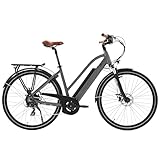 AsVIVA B15 E-Bike 28 Zoll für Herren & Damen - Pedelec mit 250W Bafang Hinterradmotor - 36V Samsung Akku - 7-Gang Shimano - bis 150 kg Nutzergewicht - Citybike Elektrofahrrad (grau-braun)