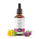 BitterKraft! Alkoholfrei BIO Bitterstoffe Tropfen nach Hildegard von Bingen | hochdosierte Bittertropfen | 9 erlesene Bitterkräuter für den Darm & die Verdauung | 100% Natur (50ml)